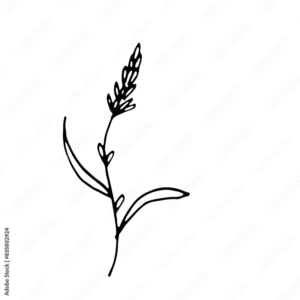 Abstract Doodle Line Art Hand Drawn Sticker Floral Botanical Abstract Doodle Line Art Hand Drawn Sticker Floral Botanical