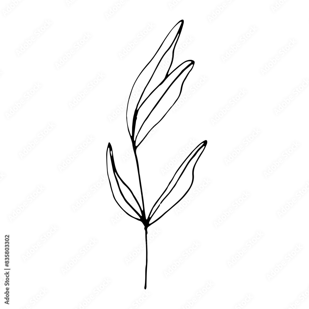 Floral Botanical Abstract Doodle Hand Drawn Line Art