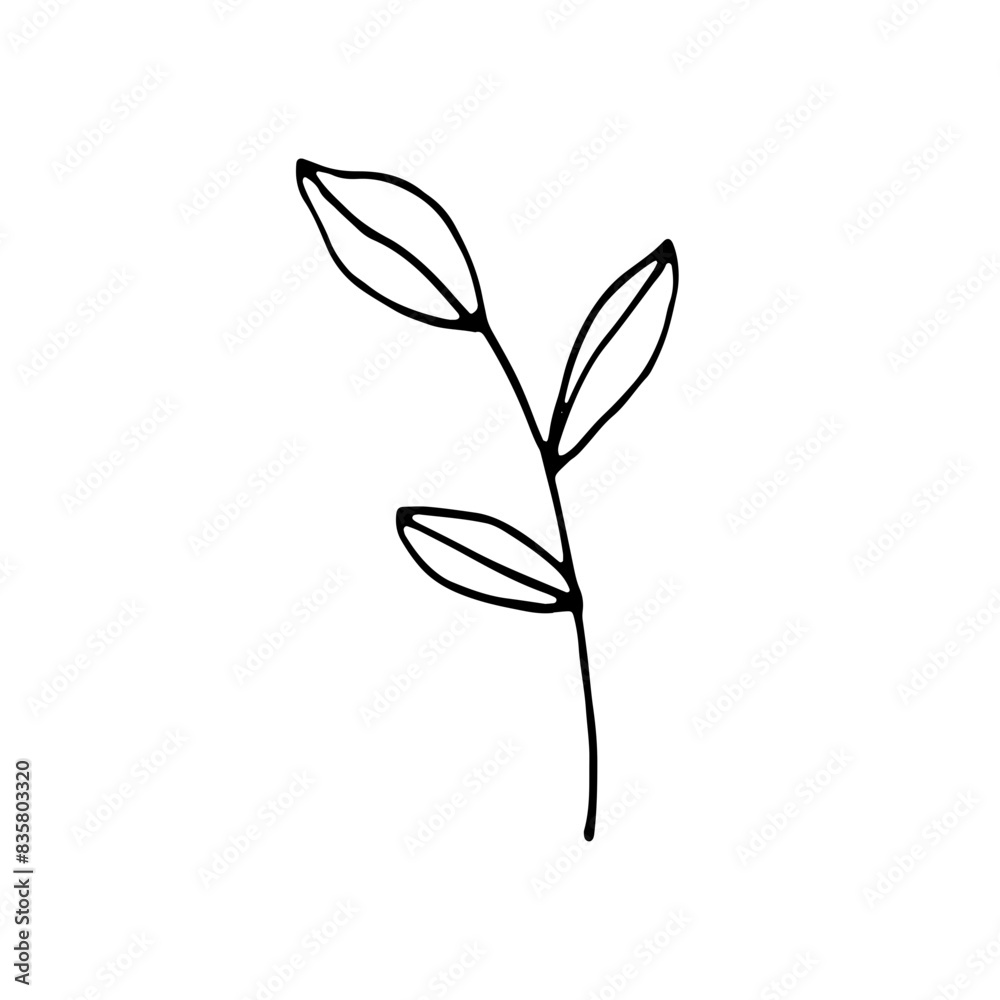 Floral Botanical Abstract Doodle Hand Drawn Line Art