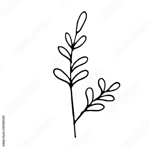 Floral Botanical Abstract Doodle Hand Drawn Line Art