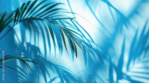 Blurred shadow from palm leaves on the blue wall.  