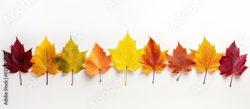 Colorful autumn leaves form a border frame on a white background with copy space image.