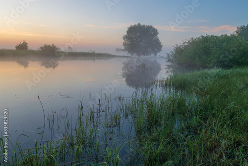 misty morning on the river