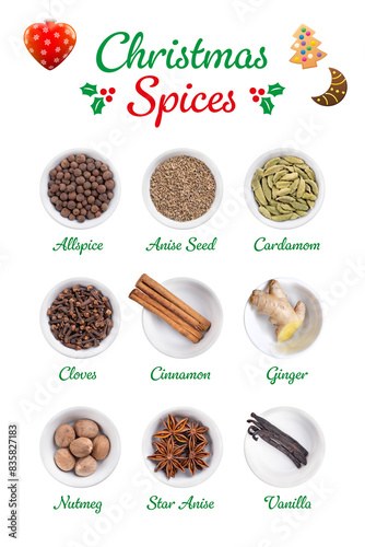 Christmas spices and the scents of winter holidays in white bowls, and with English labeling. Allspice, anise seed, cardamom, cloves, cinnamon bark, fresh ginger, nutmeg, star anise and vanilla pods.