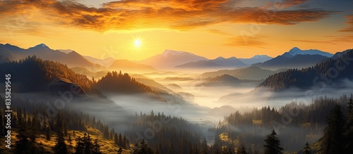 Autumn landscape featuring a stunning mist-covered valley with ample copy space image available.