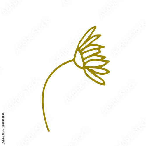 Floral Botanical Hand Drawn Line Art Doodle Sticker