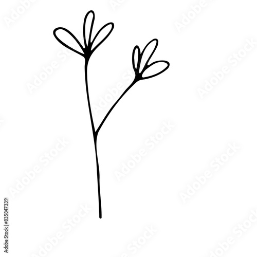 Abstract Doodle Floral Botanical Illustration Line Art Hand Drawn