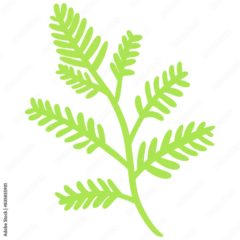 Leaf Leaf