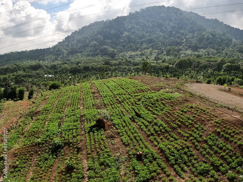 View of the peak of Mount Seulawah, Aceh