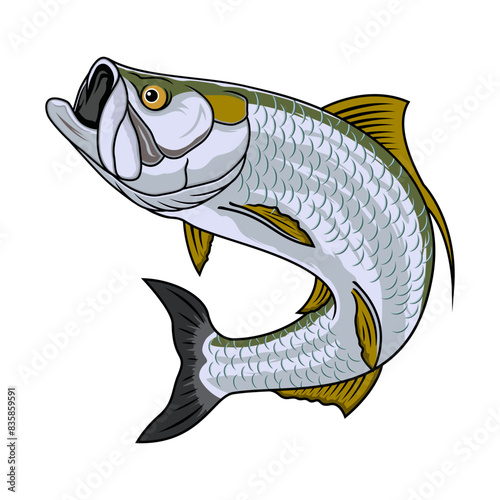 tarpon fishing illustration logo vector image t shirt
