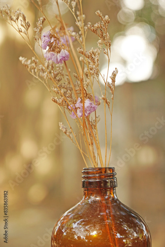 Closeup Dry  Grass Flowers in the bottle with Bokeh background - vintage Patterns with Copy space 