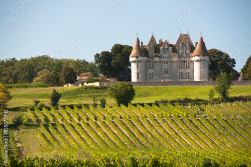 Vineyards at Chateau Monbazillac Dordogne France