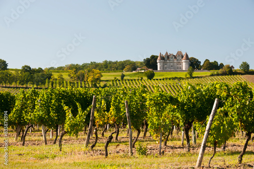 Vineyards at Chateau Monbazillac Dordogne France
