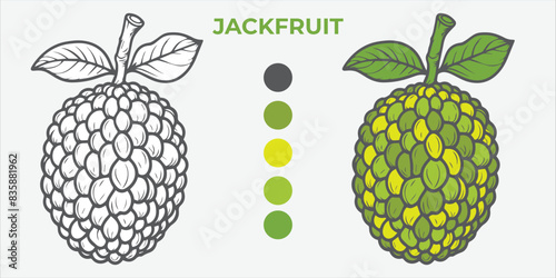 Black and White Vector Illustration of a jackfruit for Coloring Book with color sample. 