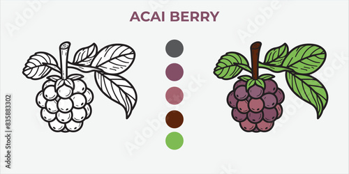 Black and White Vector Illustration of a acai berry for Coloring Book with color sample. 