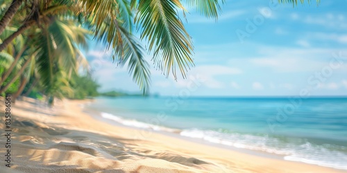 Tropical Beach Paradise With Palm Trees and Blue Sky