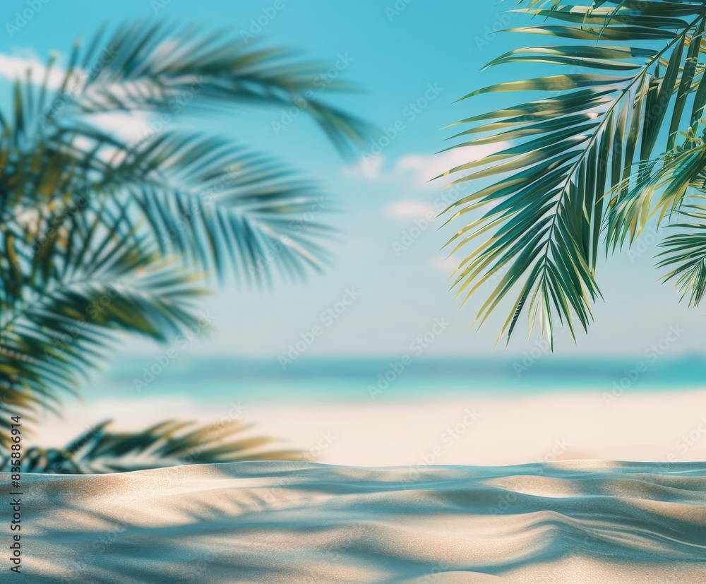 Palm Tree Fronds Overlooking Sandy Beach on a Summer Day Palm Tree Fronds Overlooking Sandy Beach on a Summer Day