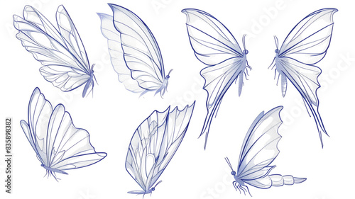 Vector illustration of fairy wings in different angles and sizes against a white background 
