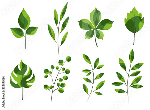 Green stylized branches, leaves vector illustration set