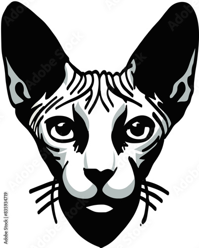 a head of sphynx cat. Vector illustration.