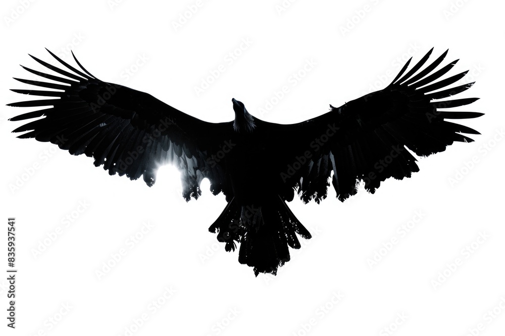 Obraz premium A picture of a large black bird flying through the air, with blurred background