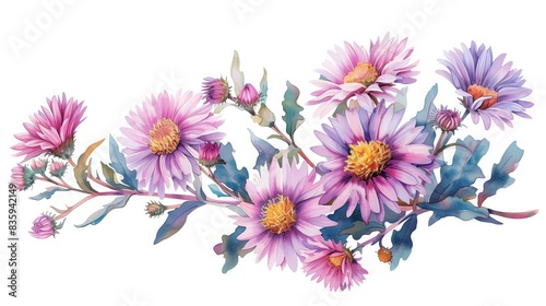 Watercolor illustration of a bouquet of asters on a white background