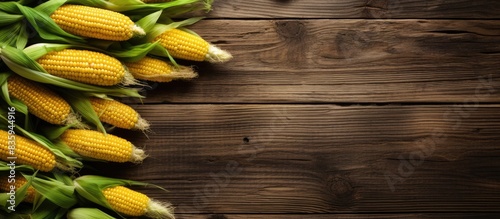 Jagung Manis or Sweet Corn on rustic wooden background Top view. Creative banner. Copyspace image photo