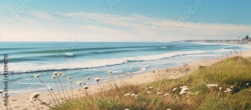 seaside view and beach vegetation. Creative banner. Copyspace image