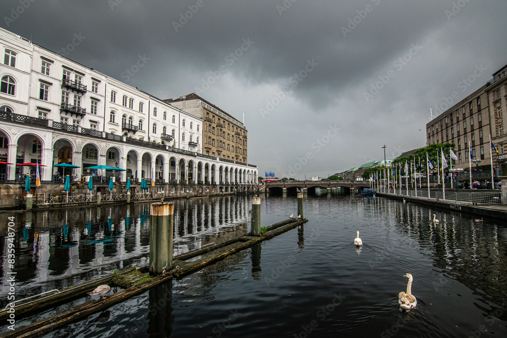 Naklejka premium Swans swim in the waters by the colonnades of Hamburg, with clouds looming overhead