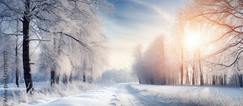 Sunny winter path. Creative banner. Copyspace image © HN Works
