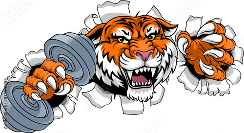 A tiger weight lifting gym animal sports mascot holding a dumbbell weight in his claw