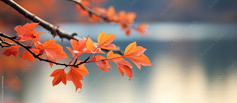 branch. Creative banner. Copyspace image branch. Creative banner. Copyspace image
