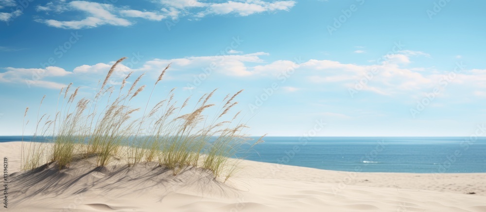 sand desert dune next to ocean and blue sky. Creative banner. Copyspace image sand desert dune next to ocean and blue sky. Creative banner. Copyspace image