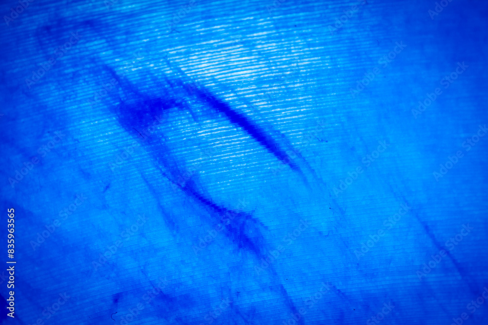 Fototapeta premium Macro shot of blue marbled vinyl record