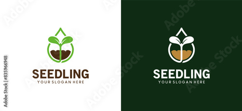 Green seedling logo design, icon of a small plant growing naturally in a drop symbol