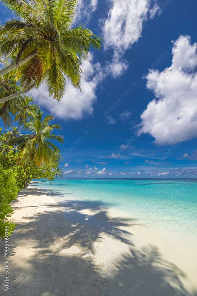 Perfect island beach coast. Tropical travel landscape of summer paradise. White sand palm trees sunny blue sea sky. Luxury vacation destination. Exotic amazing tourism relax. Freedom Maldives nature Perfect island beach coast. Tropical travel landscape of summer paradise. White sand palm trees sunny blue sea sky. Luxury vacation destination. Exotic amazing tourism relax. Freedom Maldives nature