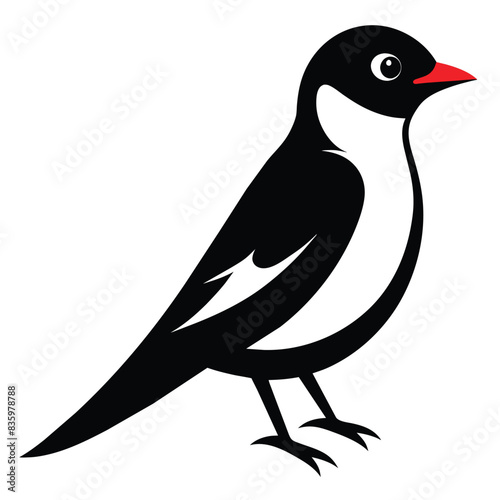 Solid color Eastern Kingbird animal vector design