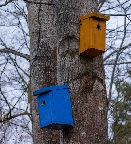 wooden bird house