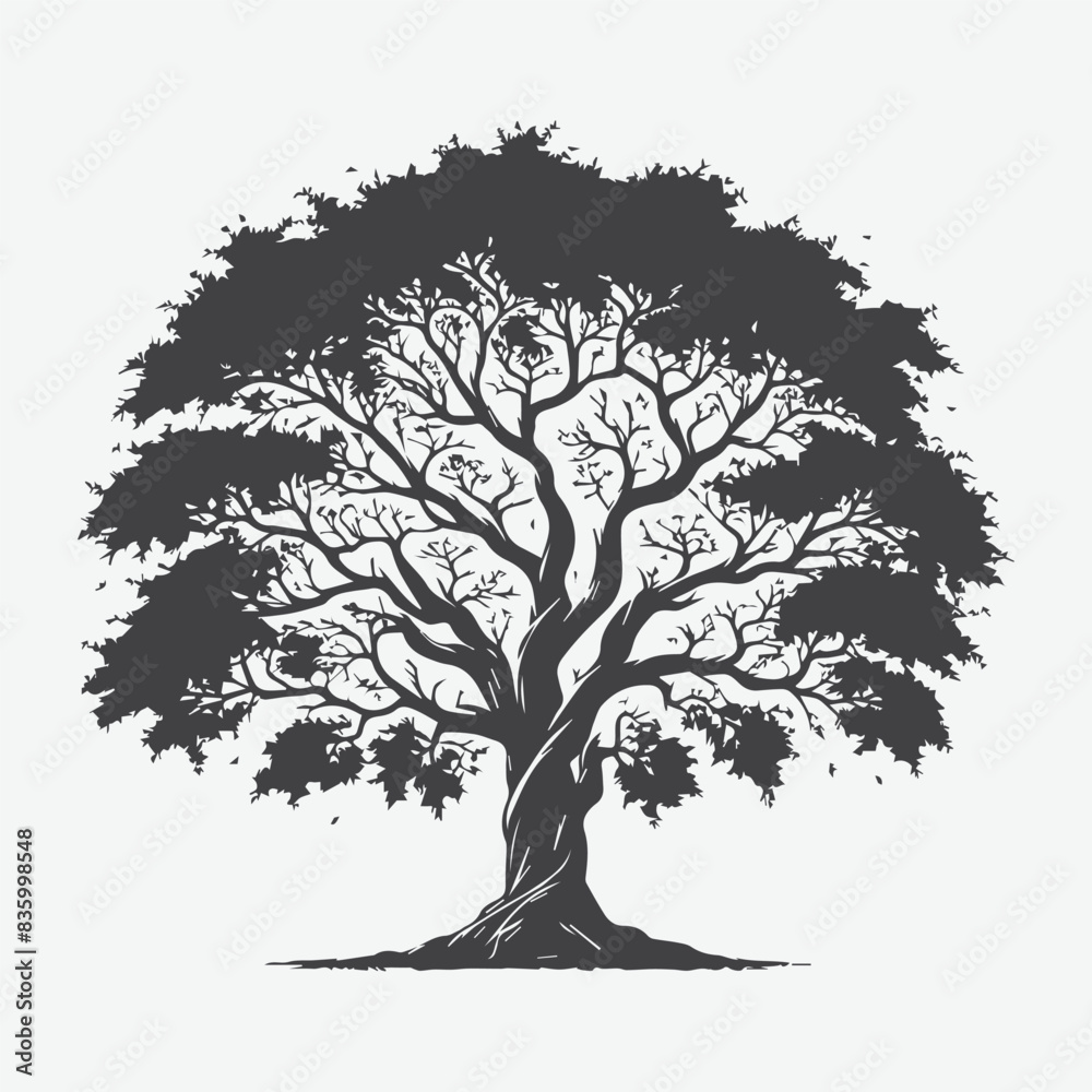 Print Majestic Hackberry Tree Silhouette, Capturing Nature's Elegance Print Majestic Hackberry Tree Silhouette, Capturing Nature's Elegance