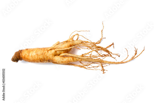 korean ginseng and ginseng root,Ginseng or Panax ginseng isolated on white background with clipping path