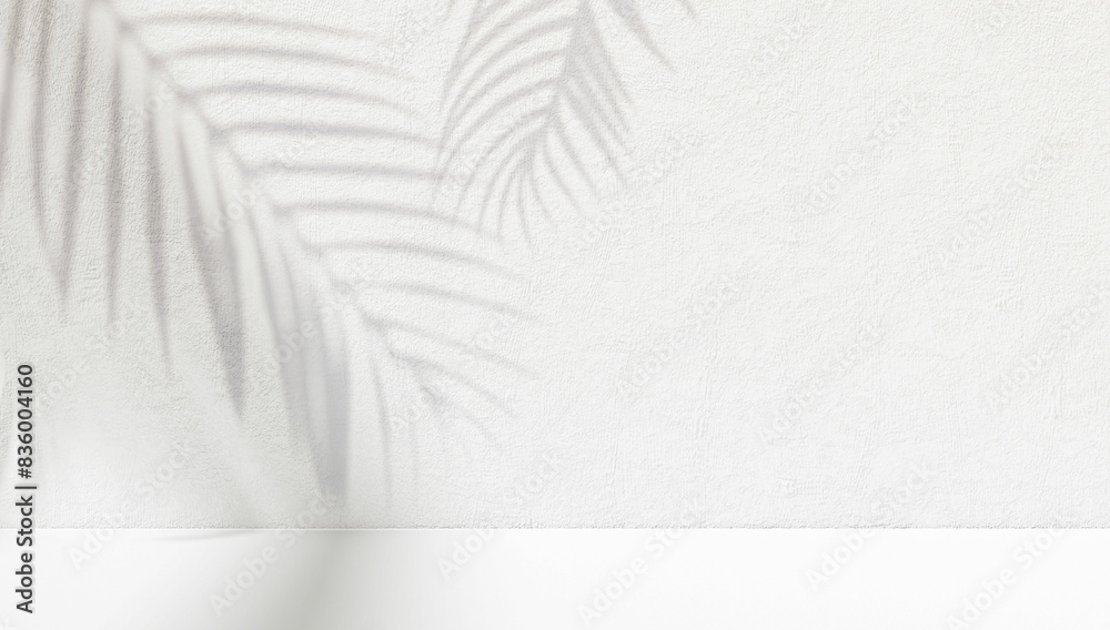 Tropic palm leaf shadow on the white wall. Free space for decoration product presentation mock up Tropic palm leaf shadow on the white wall. Free space for decoration product presentation mock up