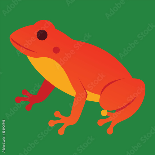 Solid color Darwin’s Frog animal vector design photo