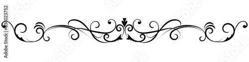 Calligraphic. Black vintage lines on white background. Abstract lines. Graphic elements