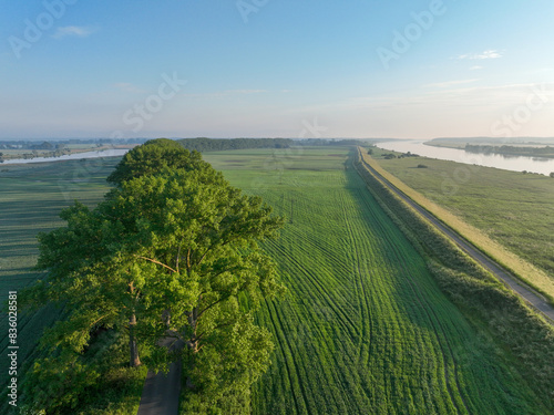 Zulawy landscape photo