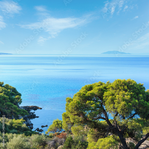 Morning summer Aegean Sea coastline (Nikiti, Sithonia, Halkidiki, Greece).