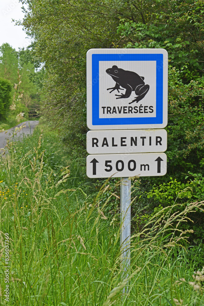 Panneaux de signalisation : attention traversées de crapauds et de grenouilles. Panneaux de signalisation : attention traversées de crapauds et de grenouilles.