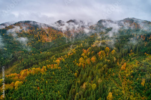 Aerial drone view over autumn forest. Colorful trees in the wood. Autumn forest aerial drone view. Autumn background, aerial drone view of beautiful forest landscape with autumn trees from above.