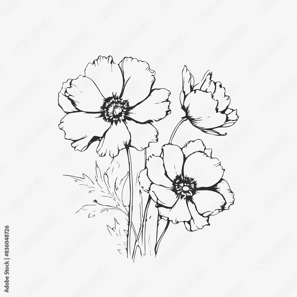 Fototapeta premium Flower outline vector artwork