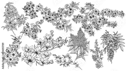 Vector set of 11 flowering trees. Magnolia, jasmine, lilac, forsythia, mimosa, wisteria, rosehip, sakura, blossoming: apple tree, apricot, cherry