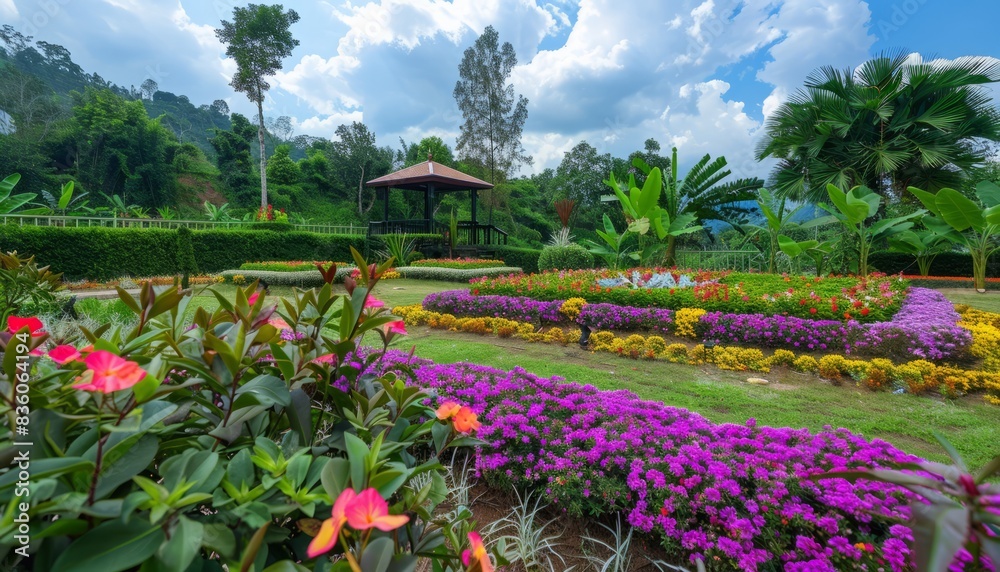 Blooming Splendor: A Glimpse of Chiang Mai's Stunning Garden of Flowers Blooming Splendor: A Glimpse of Chiang Mai's Stunning Garden of Flowers